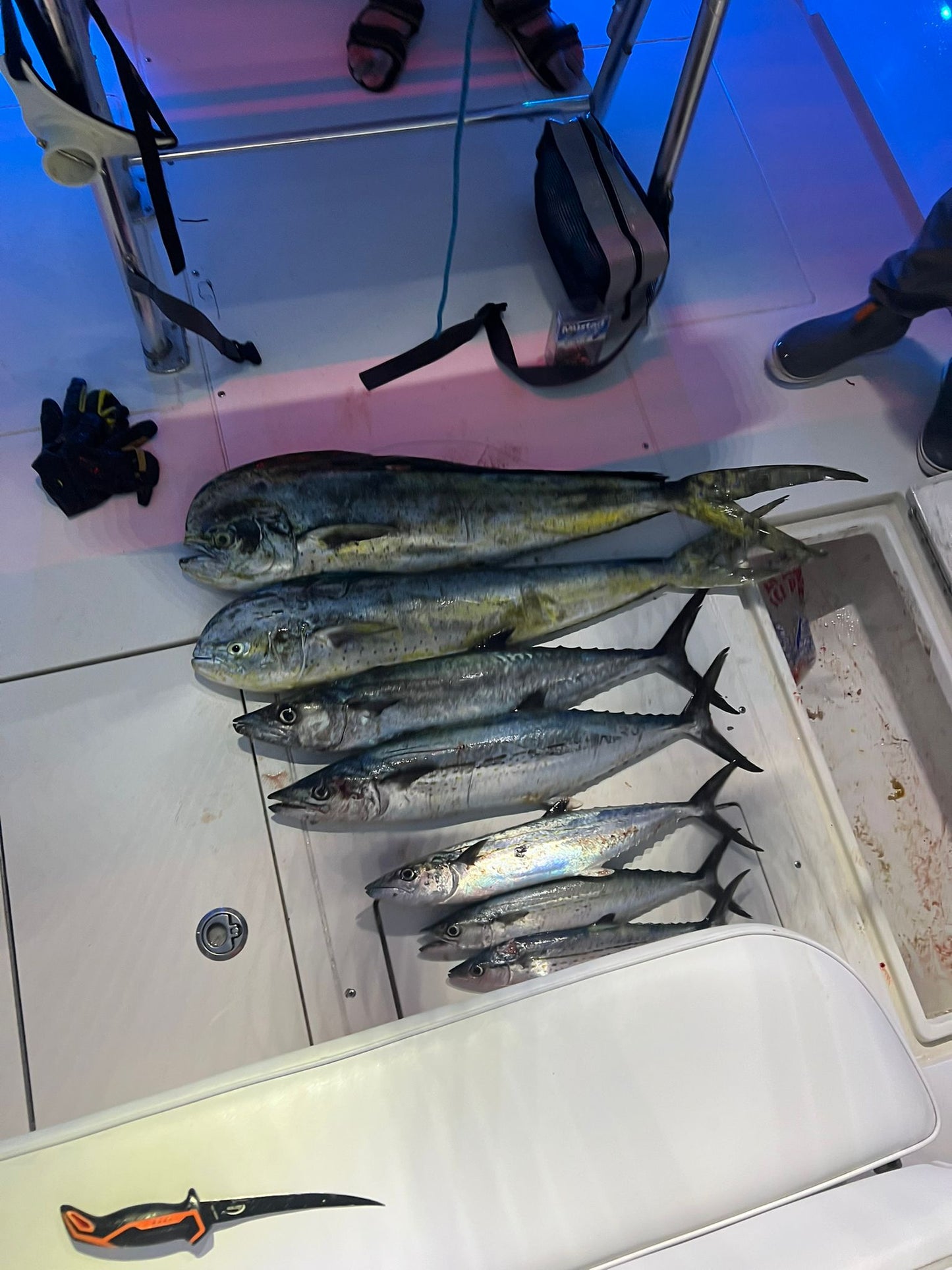 Twin Day Fishing Trip