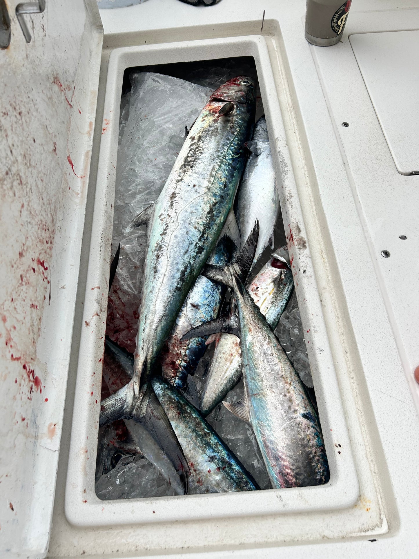 Twin Day Fishing Trip