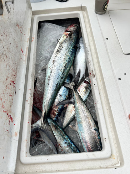 Twin Day Fishing Trip
